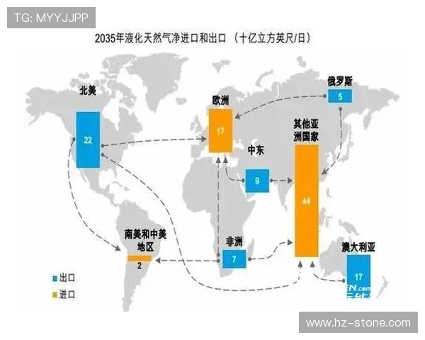 专业解析LNG市场转型策略与未来发展趋势探讨