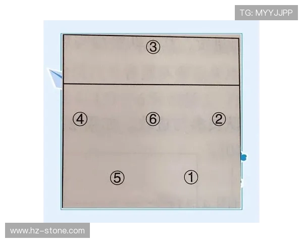 南京排球队的节奏分析与战术创新探讨