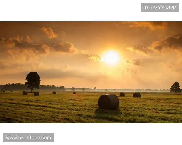 班得瑞与乌林济之星的音乐之旅谁将引领心灵的共鸣与感动