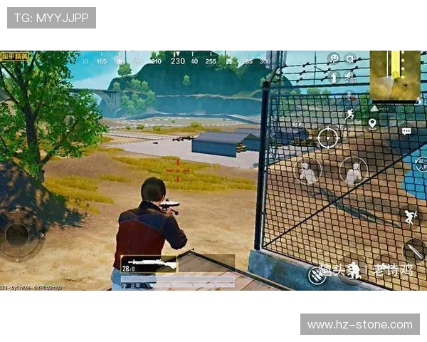 和平精英巨献：深入解析LNG战队的战术节奏与团队协作之道