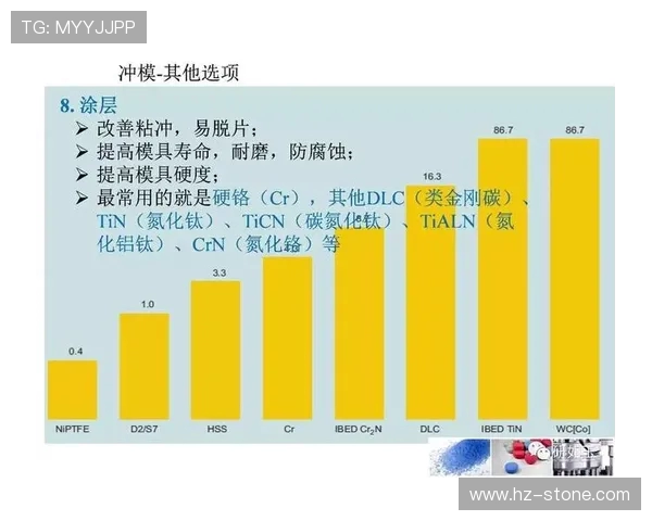 杭州排球队的耐力训练与比赛表现的深度探讨与分析
