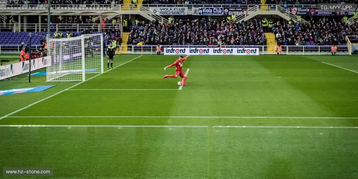 把热爱穿在身上!👕 限量周边,让你的支持永不褪色!